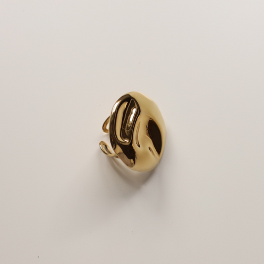 Anillo oquedad circulo oro